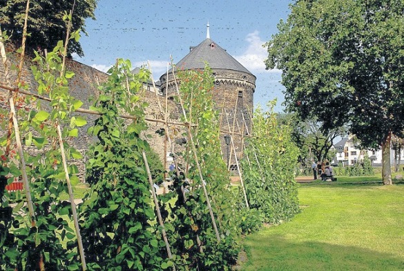 ANDERNACH: Die essbare&nbsp;Stadt