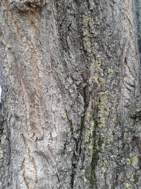 Das Prinzip der&nbsp;Schwingung