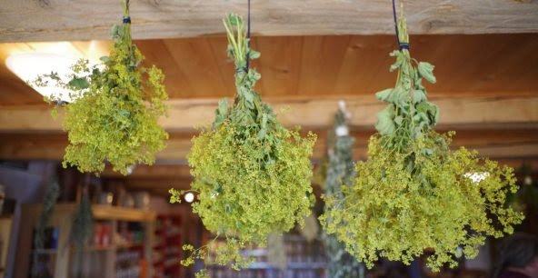 Kräutersammelfest als Ritual