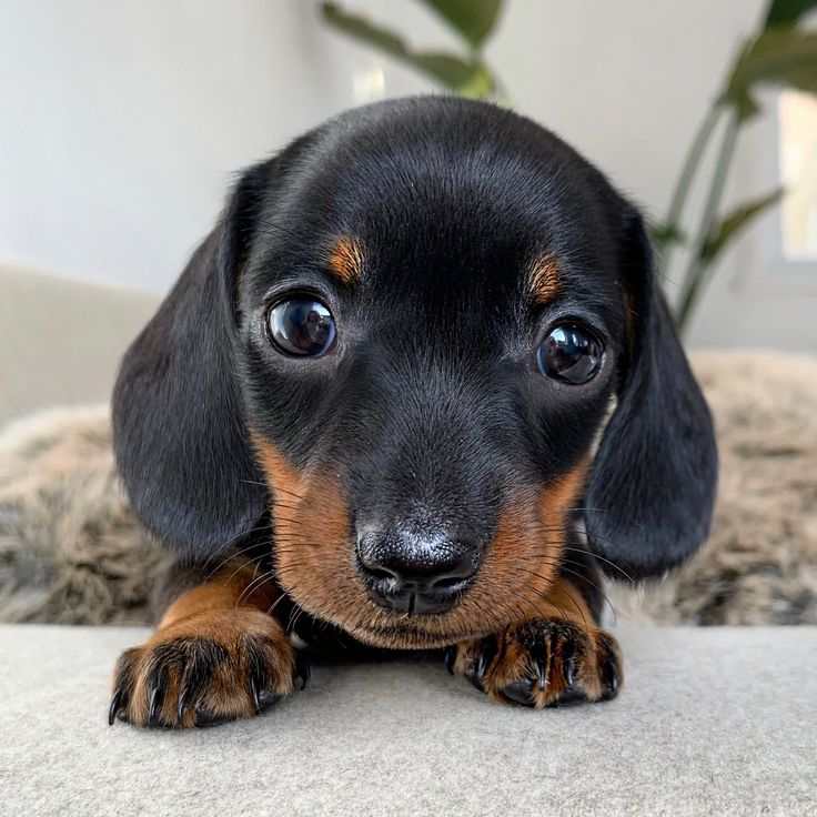 Liam sucht sich eine neue&nbsp;Aufgabe