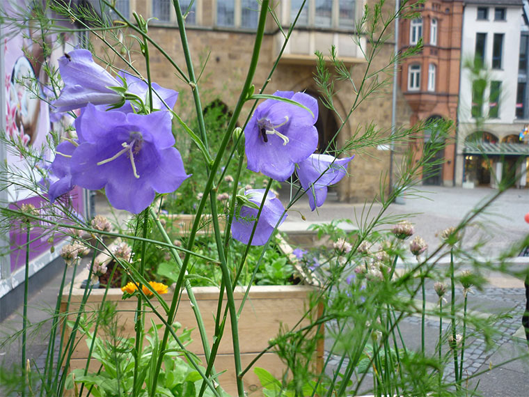 Essbare Städte in&nbsp;Deutschland