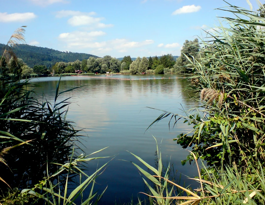 Können Träume lügen ?