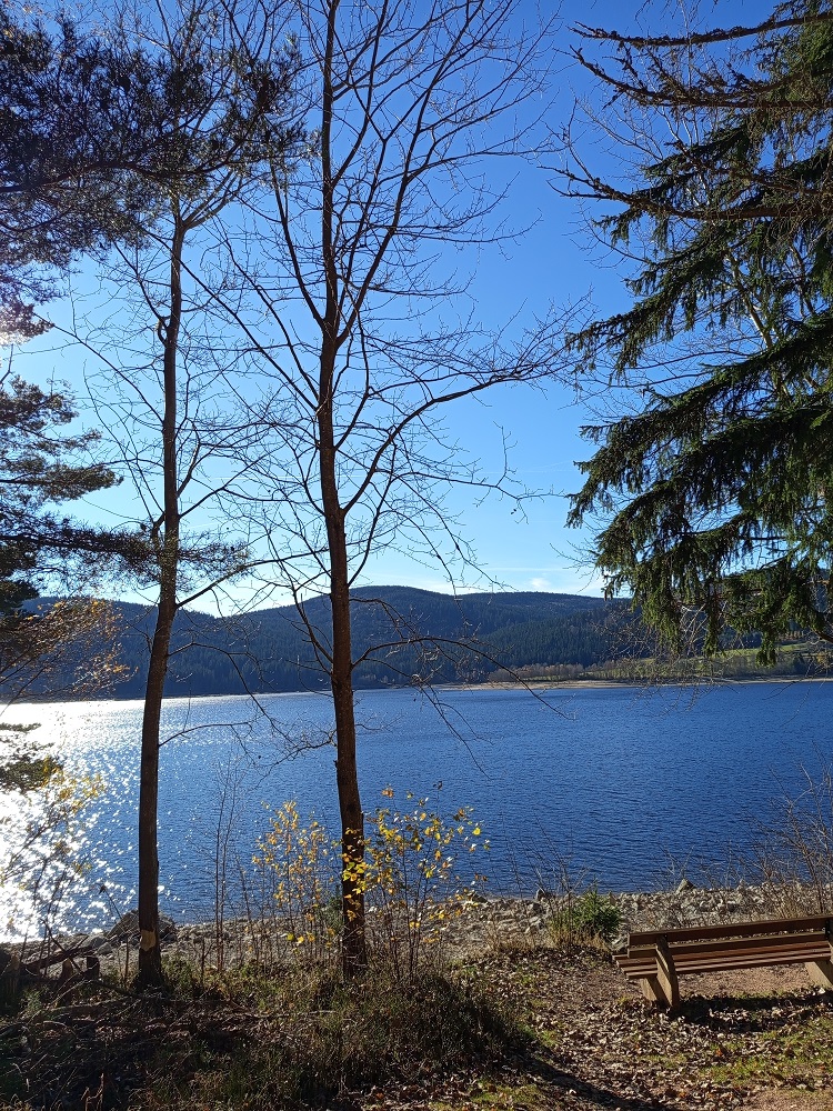 Schluchsee im Schwarzwald