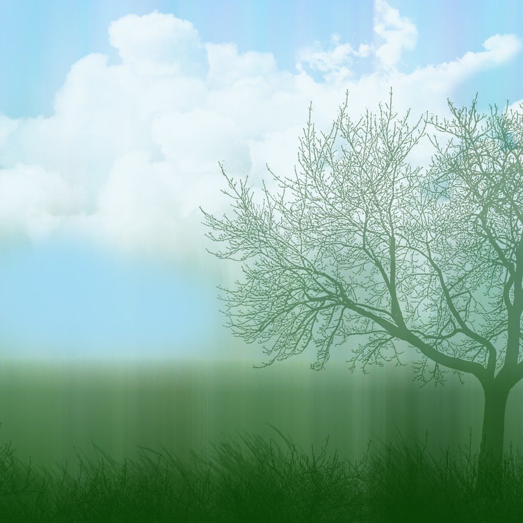 Zarte Sylphen voller Kraft