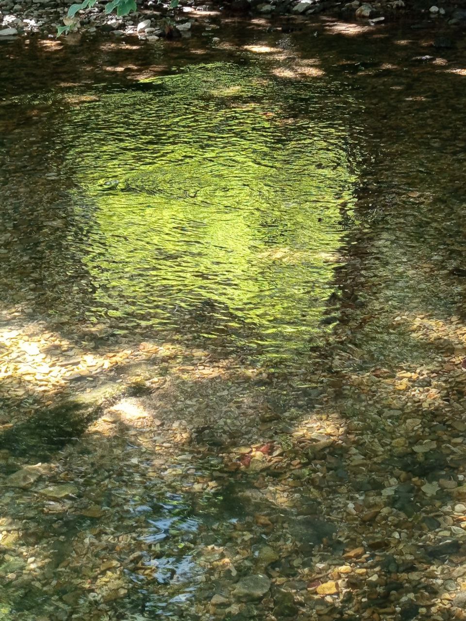 Echaz – Fluß und Uferpfad&nbsp;Reutlingen