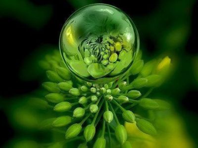 Die Kraft der eigenen&nbsp;Stimme